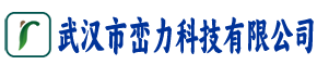 武汉市峦力科技有限公司